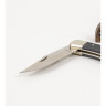 Нож BUCK 0110BKSNS FOLDING HUNTER B0110BKSNS