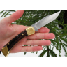 Нож Buck 0110BRSFG Folding Hunter B0110BRSFG