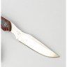 Нож BUCK 0543RWS OPEN SEASON CAPER B0543RWS